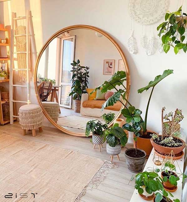 در دکوراسیون خانه ویلایی کوچکی که در این تصویر میبینیدف هم از آینه و هم از گیاههان بزرگ و کوچک استفاده شده است که هم فضای کمی را اشغال میکنند و هم اینکه فضا را زیباتر کرده اند