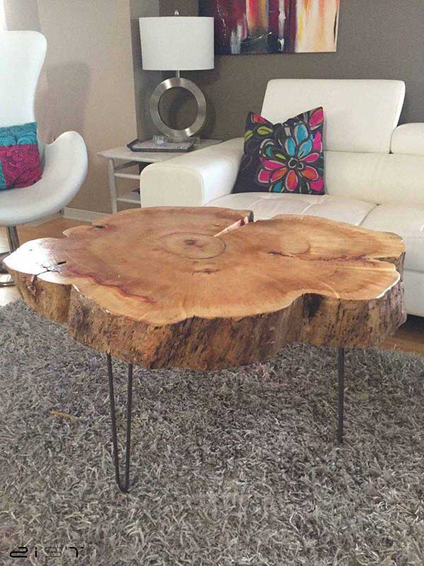 میز جلو مبلی که در این تصویر می‌بینید از تنه درخت ساخته شده است که حالت طبیعی خودش را حفظ کرده است
